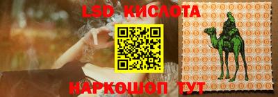 шишки Будённовск