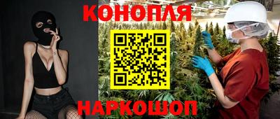 шишки Будённовск