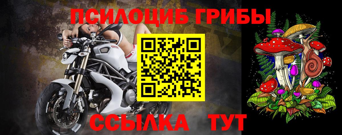 Галлюциногенные грибы Psilocybine cubensis  Вход с VPN  Псилоцибиновые грибы Cubensis  Солнечногорск 