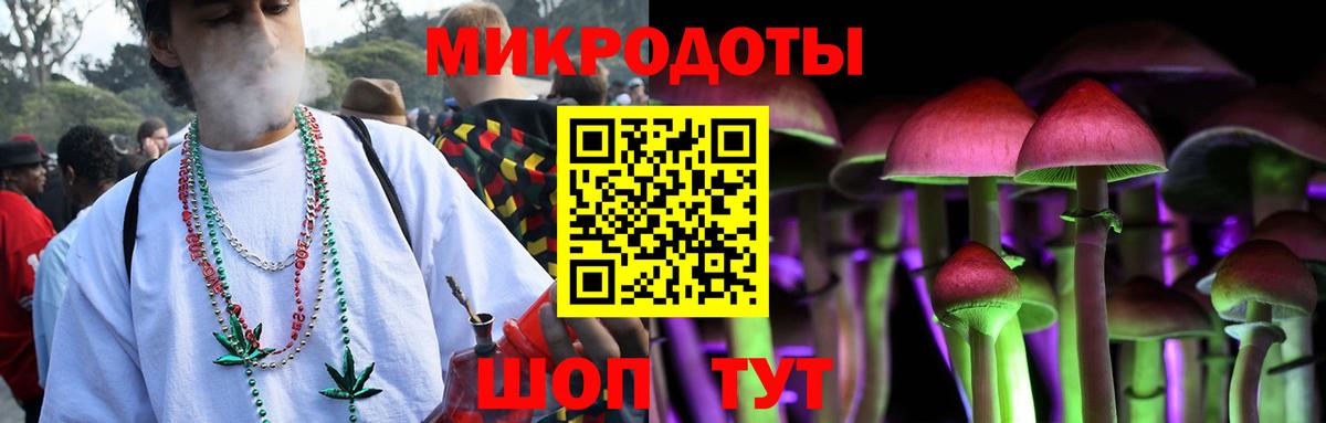 Псилоцибиновые грибы Psilocybe Солнечногорск